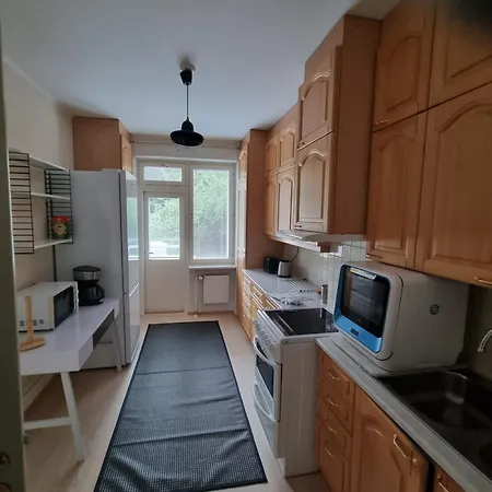 Kotimaailma 1 Bedroom In Center アパート
